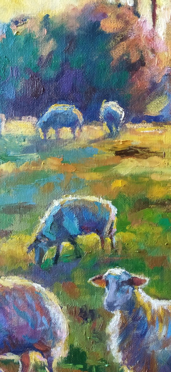 Sunlit Meadow with Sheep