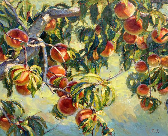 Peach Tree