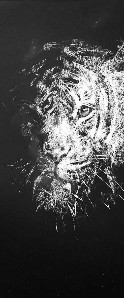 Tiger by Olga Bolgar