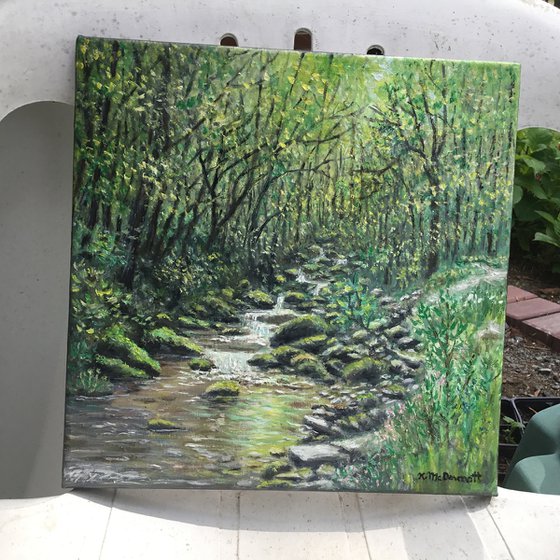 CREEK NEAR OLD FORT NC   (SOLD)