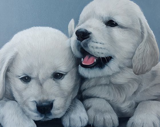 Puppy Companions