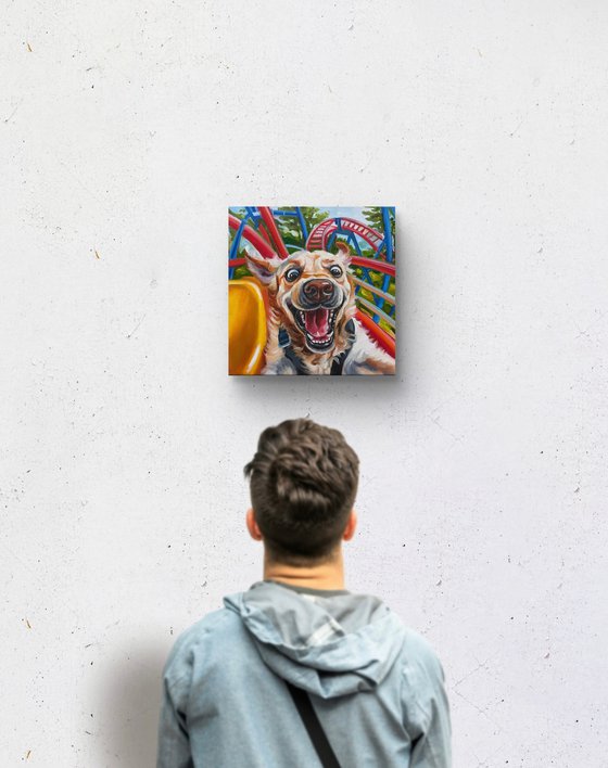 No Brakes | Dog on Rollercoaster