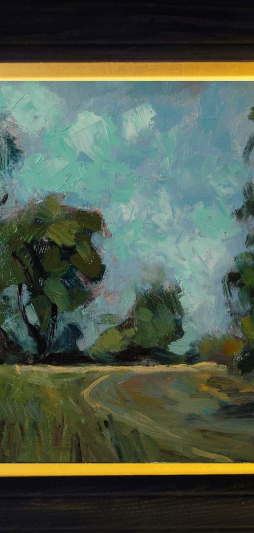 Road in New South Wales by Andre Pallat
