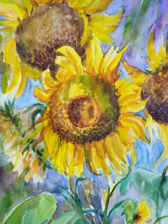 Among the Sunflowers