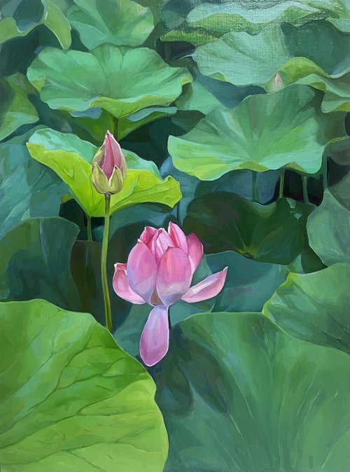 Lotuses. Pond. Time of youth. by Guzel Min