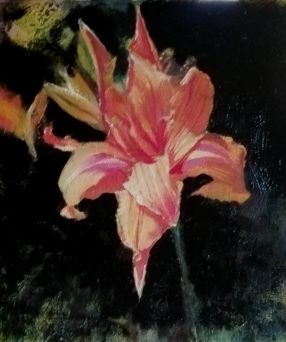 Day lily by Rosemary Burn