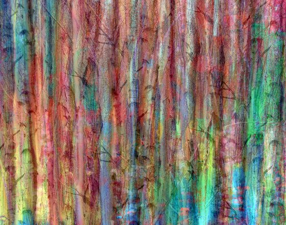 Rainbow Forest