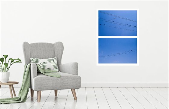 Birds on Wires Diptych