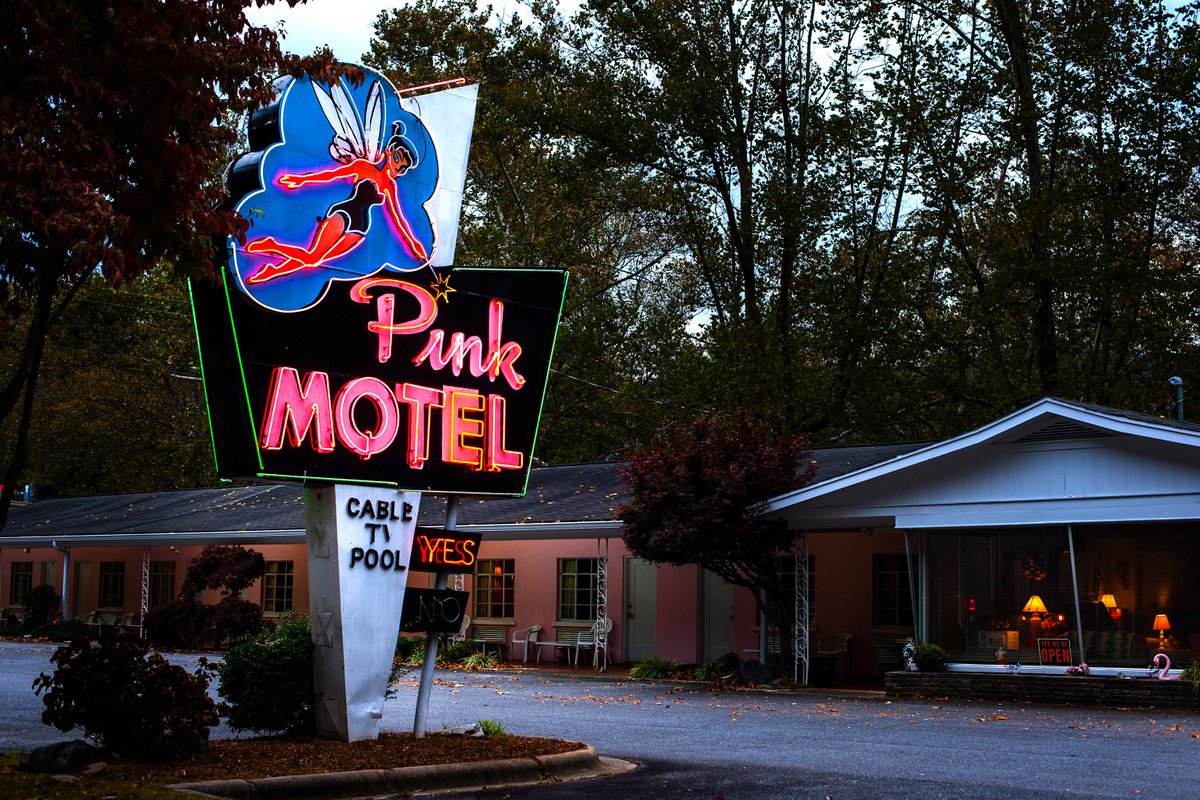 Pink Motel by Robert Tolchin