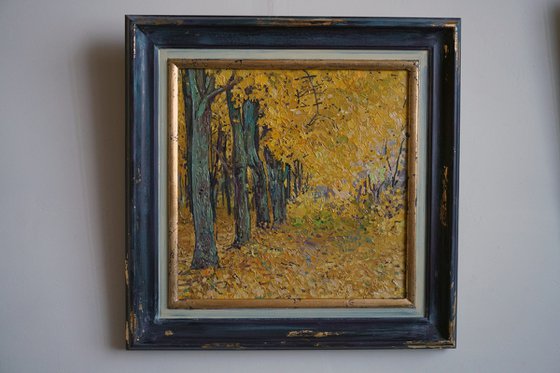 Golden maples in the park