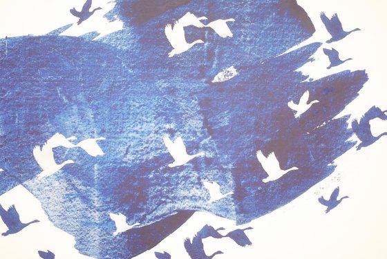 Blue and white geese