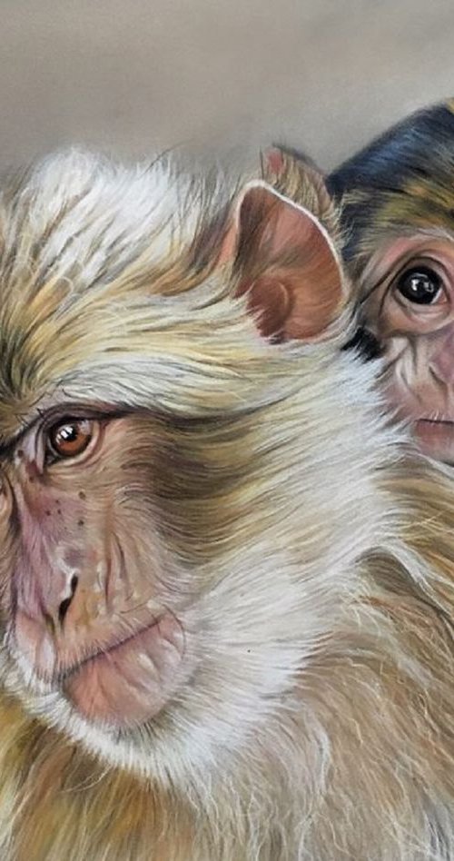 Motherly Love by Clare Parkes