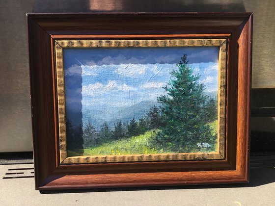 MOUNTAIN PINE - oil 5X7 (SOLD)