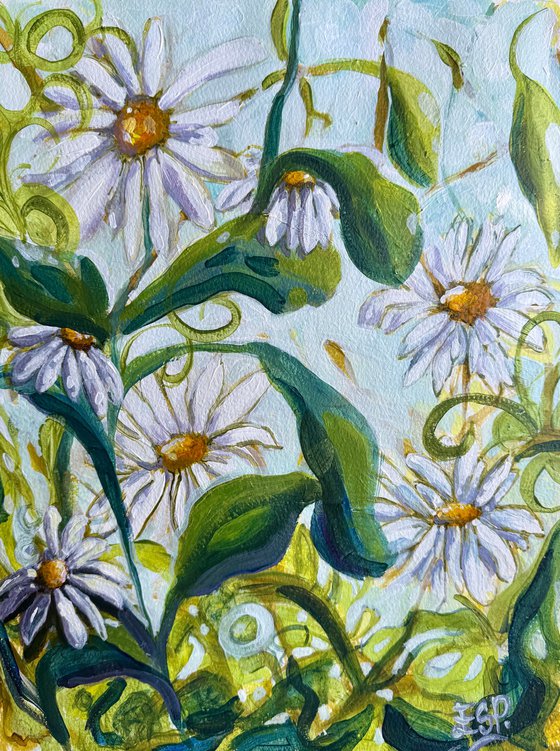Daisies
