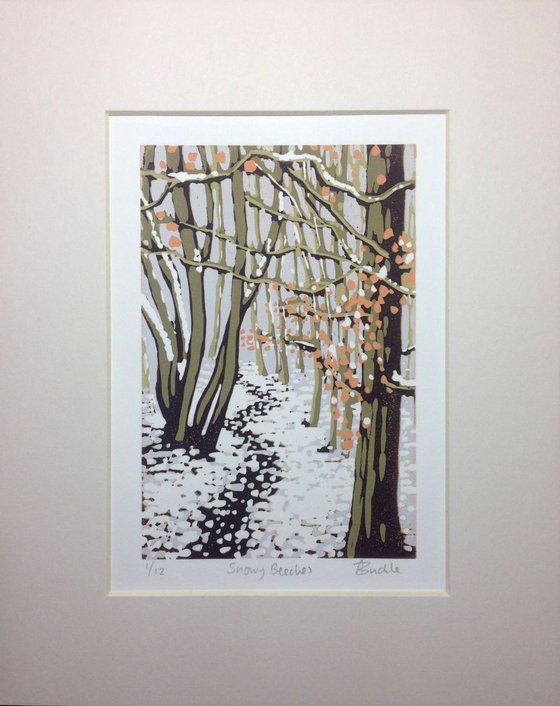 Snowy Beeches