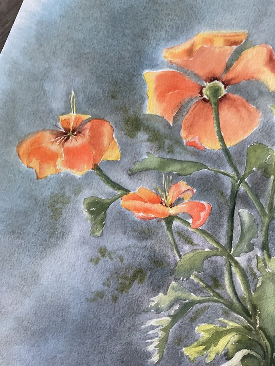 Orange mood