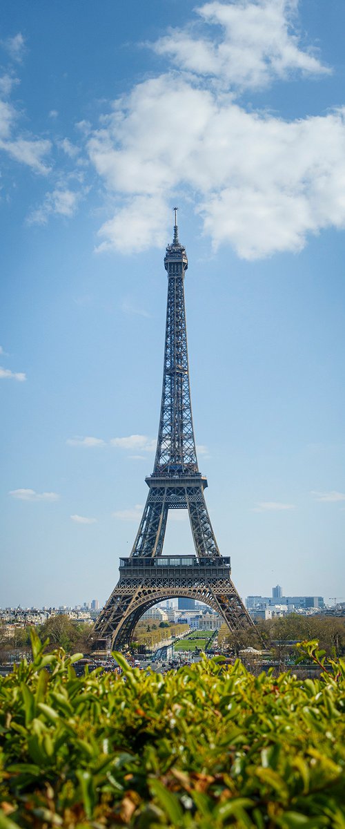La Eiffel Tower   8" X 12"  1/20 by Laura Fitzpatrick