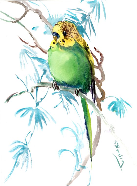 Budgie, Parakeet painting