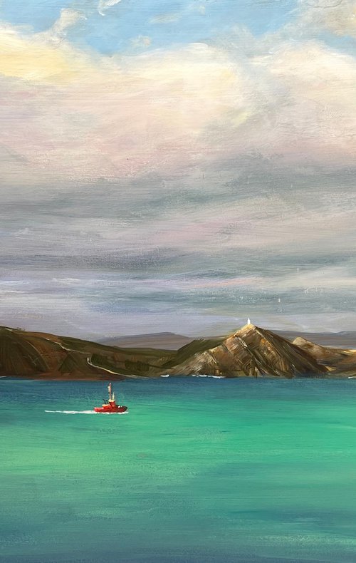 Crossing cook strait by Shelly Du