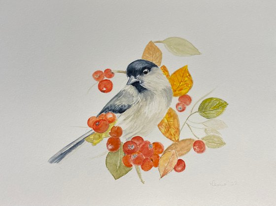 Bird amongst cherries