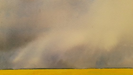 Fields of Gold