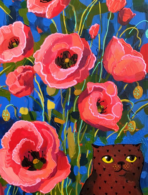 The poppies