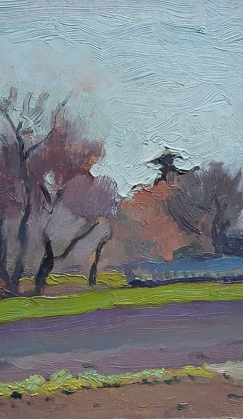 Early Spring by Vasyl Koval