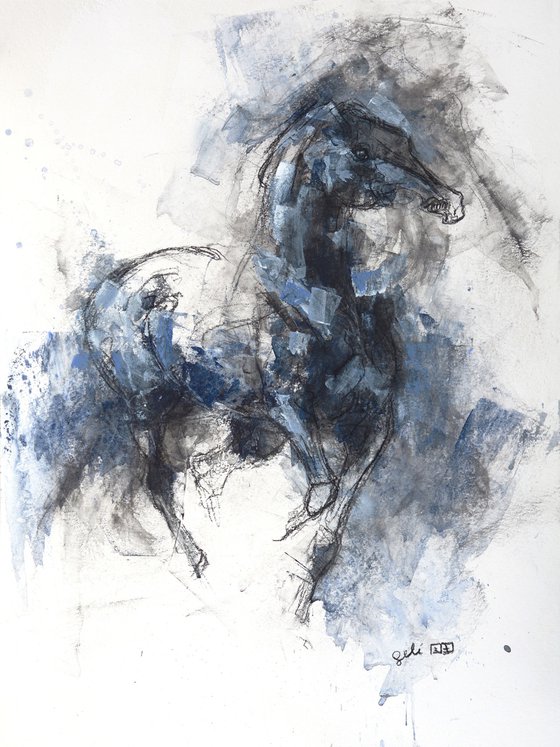 Equine Nude 115t