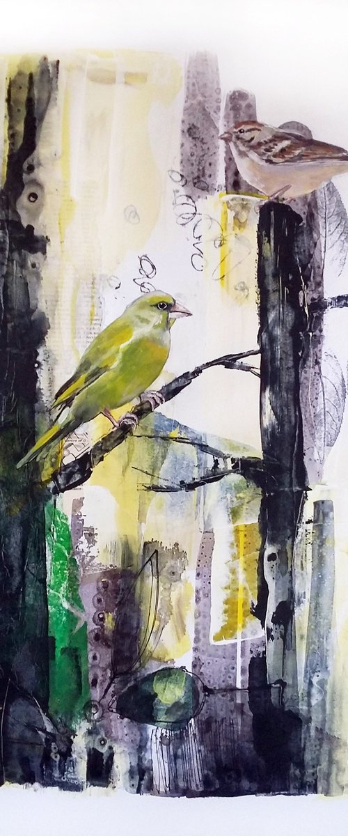 Birding by Carolynne Coulson