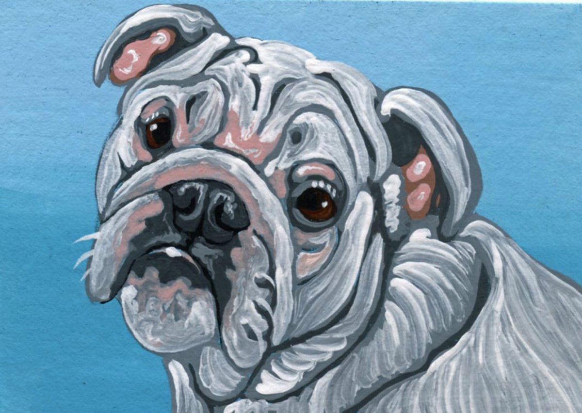 ACEO ATC Original Miniature Painting White English Bulldog Pet Dog Art-Carla Smale by carla smale