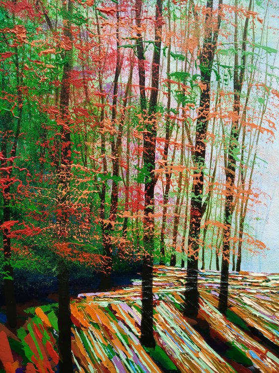 Fall of the Forest Light