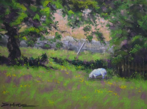 New Pastures by Denise Mitchell