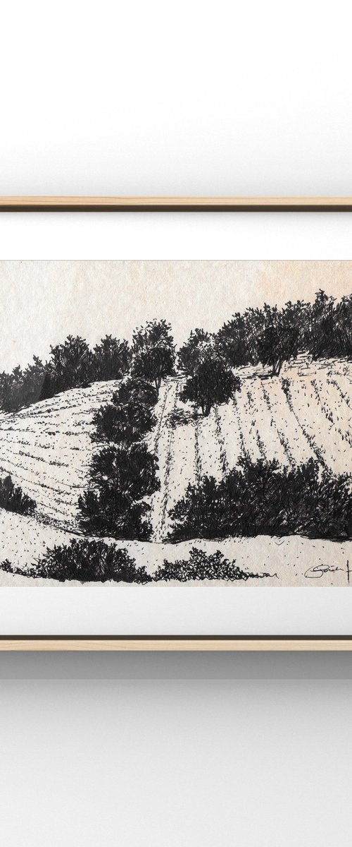 Shaded Field by Gozde Temiz Istanbul