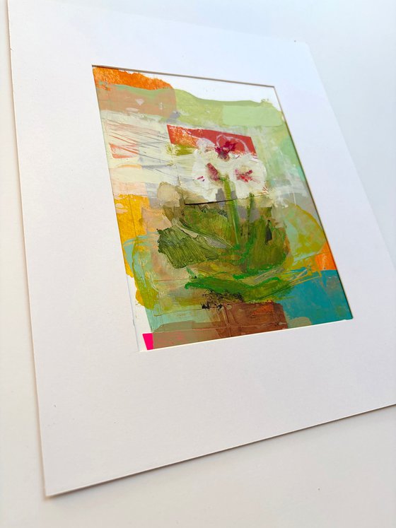 Geranium