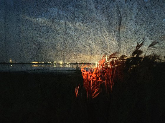 Screenprint Salt lake in Odesa