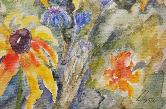 Wildflower Meadow: Rudbeckia & Cornflowers