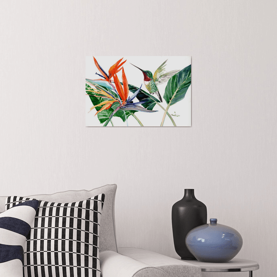 Hummingbird and Birds of Paradise Flowers