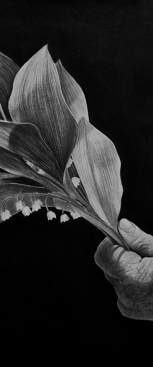 "Opposite" by Kateryna Kostyk