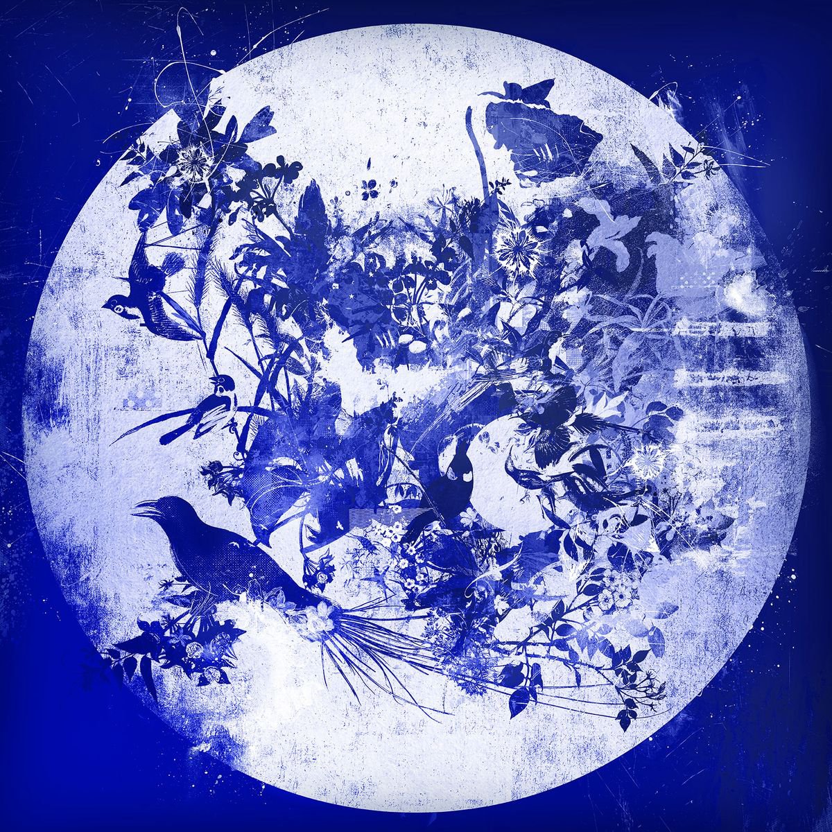 Animal Painting By Teis Albers, 39 X 39", A Royal Affair, Original Artwork