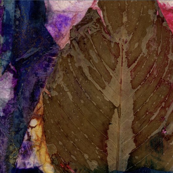 Nature's Abstraction