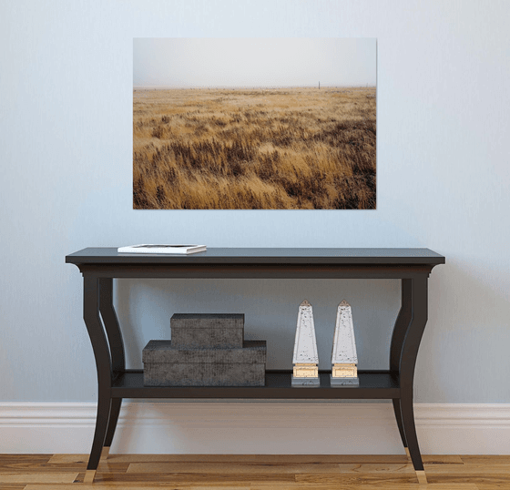 Grasses -  2009 32 inches wide