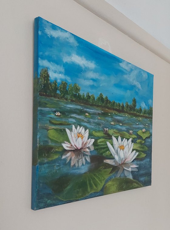 Lily Pond