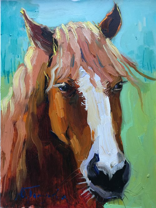 a horse by Yuliia Pastukhova