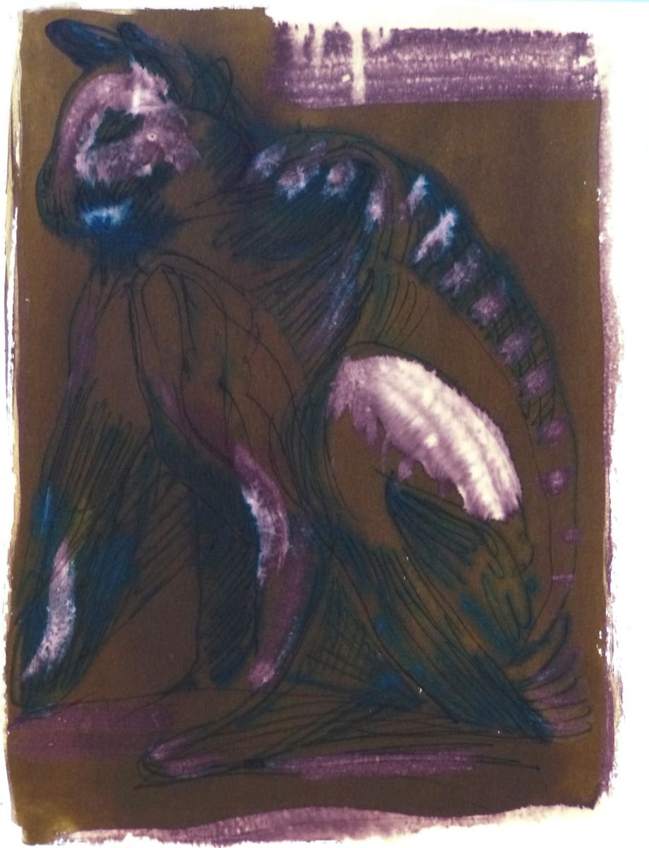 Brown Cat, 24x31 cm by Frederic Belaubre