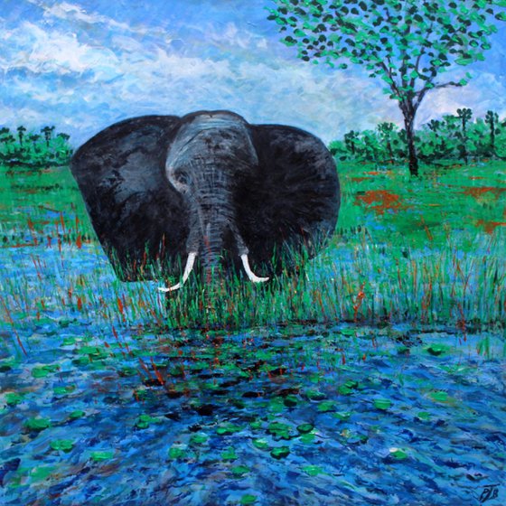 Okavango Delta I ( Large 40" x40" - 102cm x 102cm)