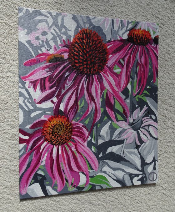 Echinacea Flowers