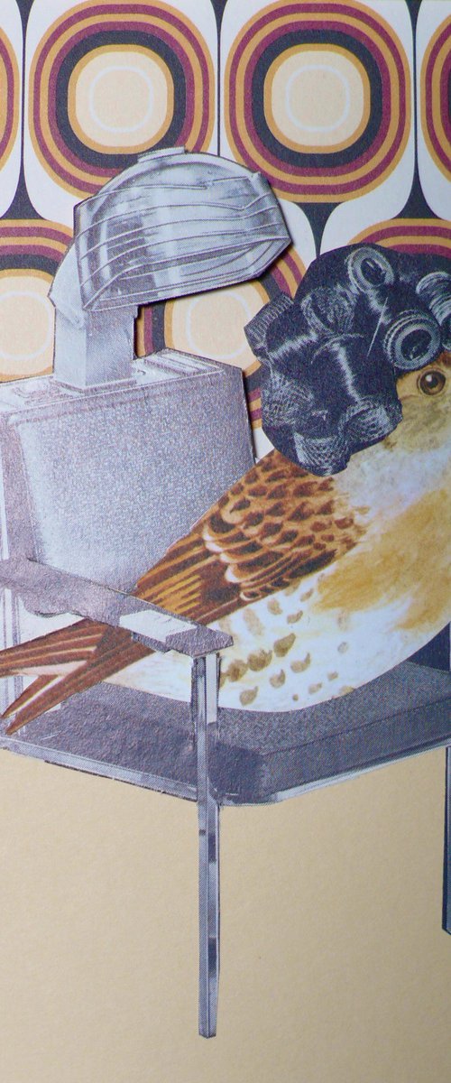 Salon Birds Number #1 by Paper Draper