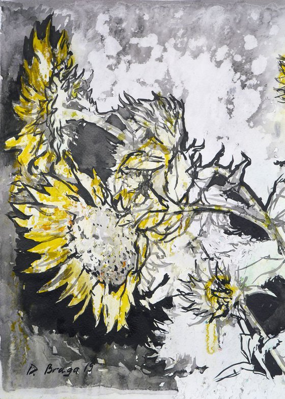 Sunflowers, rain (ink)