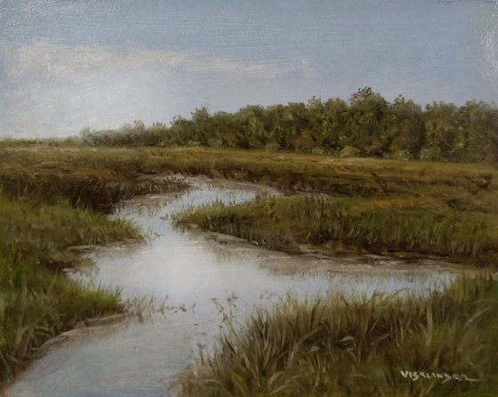 Marsh meadows3