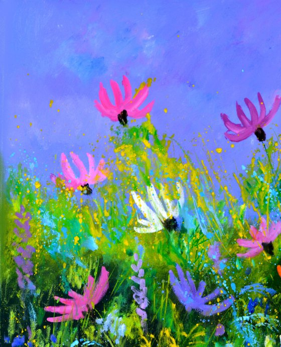 A few cosmos flowers  - 7823